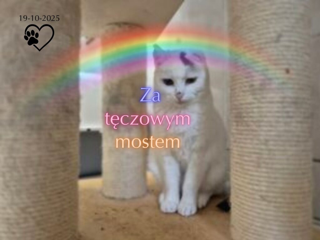 Lucynka 🧡💛💚💙 (19-10-2025)