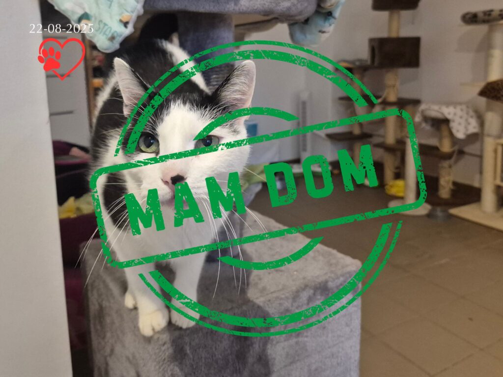 Filip (adopcja 28-08-2025)