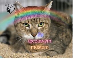 Lili 🧡💛💚💙 (27-01-2026)