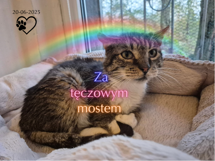 Sami TM 🧡💛💚💙 (20-06-2025)