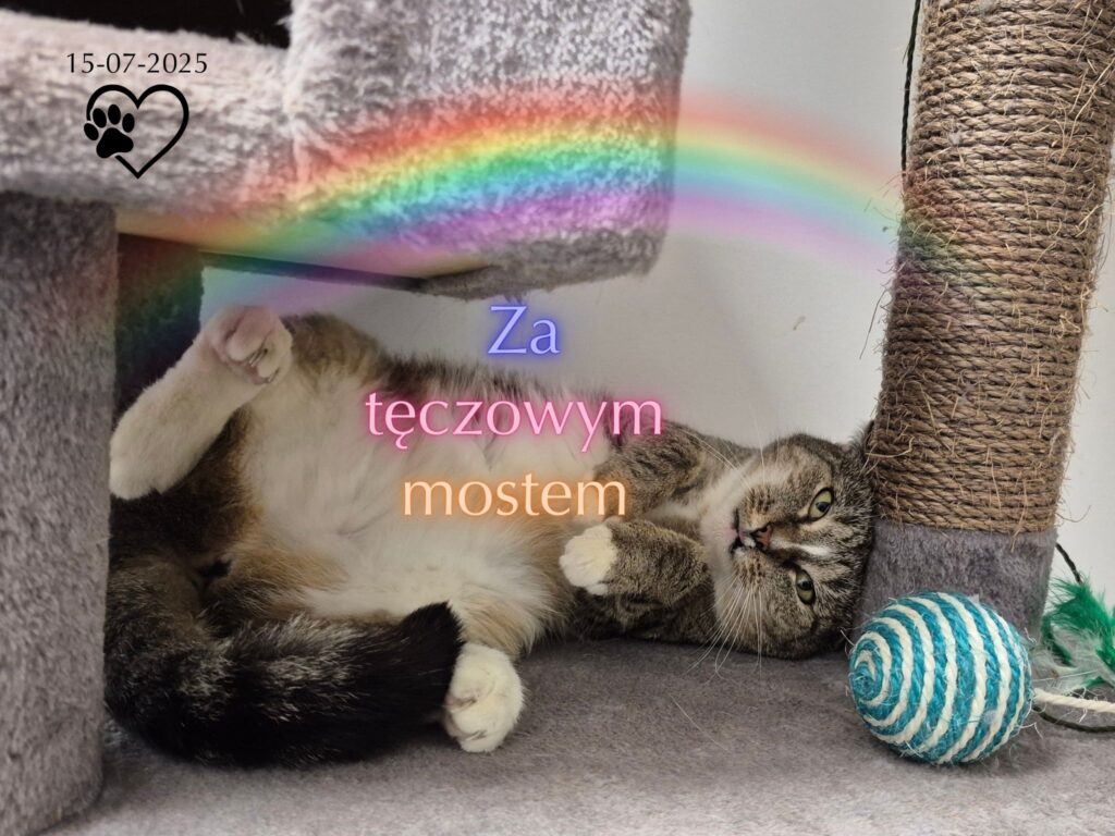 Monia 🧡💛💚💙 (15-07-2025)